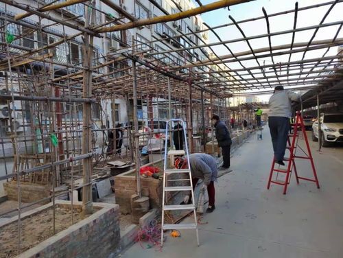 河北保定蓮池區(qū)罐頭廠新宿舍環(huán)境大整改行動見成效 環(huán)境衛(wèi)生與公共設(shè)施安裝服務(wù)雙提升